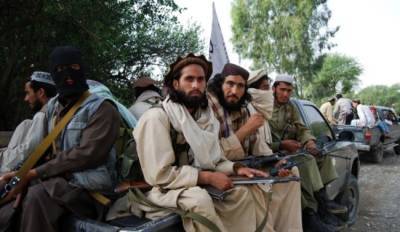 Талибы отказались от помощи США в борьбе с ИГИЛ