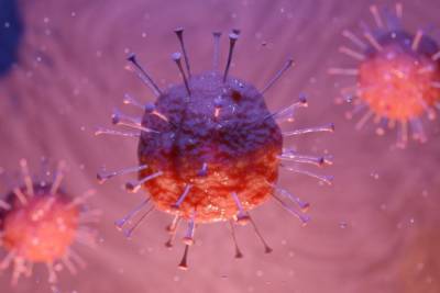 В Крестецком центре соцобслуживания выявлено 19 больных коронавирусом