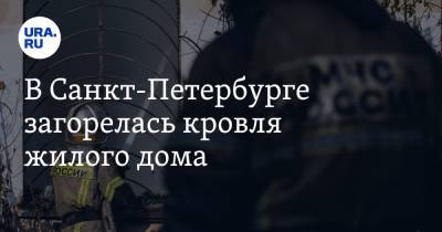 В Санкт-Петербурге загорелась кровля жилого дома