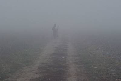 На Ленобласть надвигается густой туман