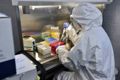 Учёные: Коронавирус мог появиться в 2012 году