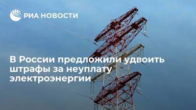 Глава НП "Совет рынка" Быстров предложил увеличить вдвое штрафы за неуплату электроэнергии