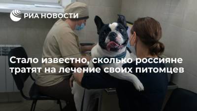 "Четыре лапы" рассказали, что россияне тратят на лечение питомцев до десяти тысяч в год