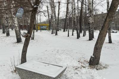 Мокрый снег и сильный ветер до 17 м/с ожидается 1 ноября в Новосибирске