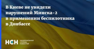 В Киеве не увидели нарушений Минска-2 в применении беспилотника в Донбассе