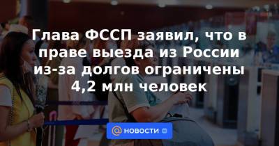 Глава ФССП заявил, что в праве выезда из России из-за долгов ограничены 4,2 млн человек