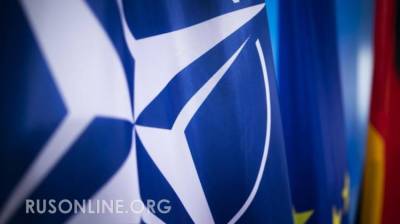 В США возмутились предательством НАТО Германией ради России
