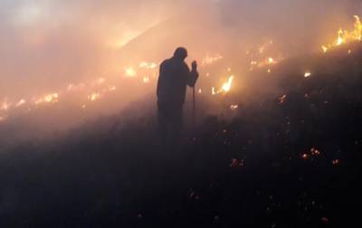 На Закарпатье горела трава и кустарники - korrespondent.net - Украина - район Раховский
