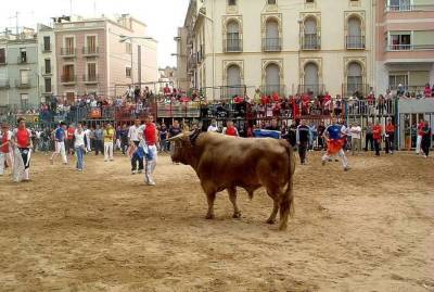 В ходе традиционного забега быков в Испании погиб мужчина