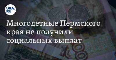 Многодетные Пермского края не получили социальных выплат