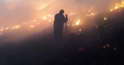 Масштабный пожар на Закарпатье: на полонине выгорело 15 га сухостоя