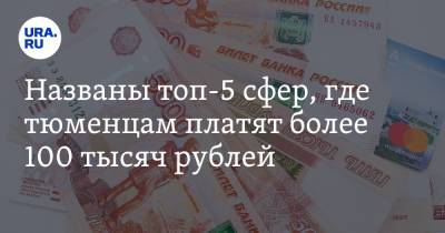 Названы топ-5 сфер, где тюменцам платят более 100 тысяч рублей