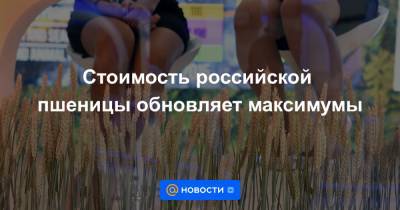 Стоимость российской пшеницы обновляет максимумы
