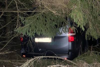 На дороге в Тверской области два человека пострадали в ДТП в кювете