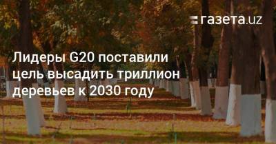 Лидеры G20 поставили цель высадить триллион деревьев к 2030 году