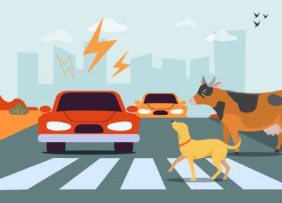 Домашнее животное vs водитель: определяем виновного в ДТП