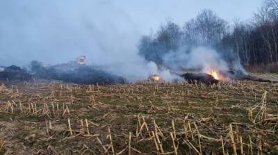 В Минской области при пожарах сгорело более 180 т соломы