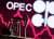 США готовят меры против ОПЕК+ из-за дефицита нефти