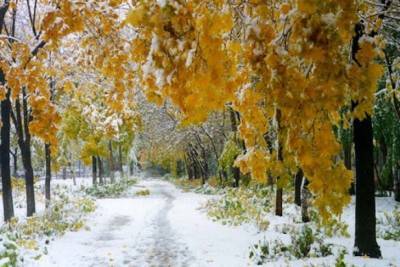 Снег в ноябре и тепло в декабре: синоптик удивил украинцев прогнозом погоды до конца года