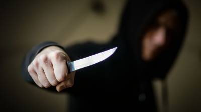 В Шушарах из многоэтажки выбежал неадекват с ножом, его застрелили полисмены — видео