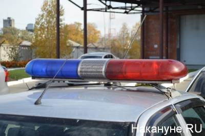 На Южном Урале задержали водителя, который сбил женщину на пешеходном переходе и скрылся