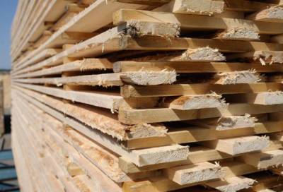 Два лесопромышленных предприятия Ленобласти получат финансирование на покупку нового оборудования