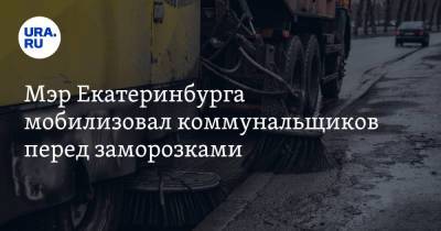 Мэр Екатеринбурга мобилизовал коммунальщиков перед заморозками