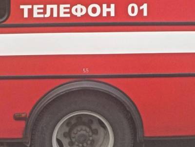 В деревне Кингисеппского района при пожаре погиб мужчина