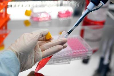 Российский эпидемиолог допустил появление нового штамма коронавируса