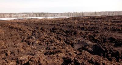 На Южном Урале птицефабрика выплатила штраф за куриный помет на сельхозземлях