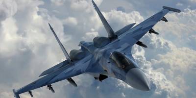 Минобороны потребовало от россиянина миллиард за сбитый им Су-30