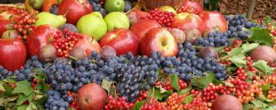 В России производство плодов и ягод увеличилось на 22,2%