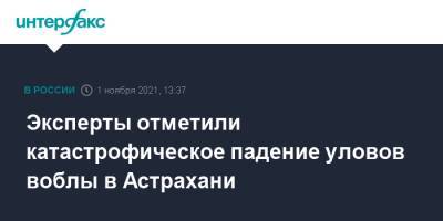 Эксперты отметили катастрофическое падение уловов воблы в Астрахани