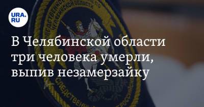 В Челябинской области три человека умерли, выпив незамерзайку