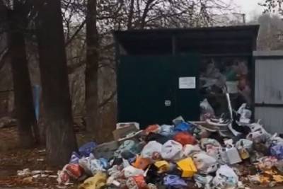 В центре Владимира растет мусорная гора