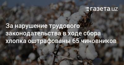 За нарушение трудового законодательства в ходе сбора хлопка оштрафованы 65 чиновников