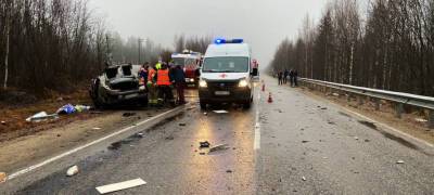 Человек погиб в смертельном ДТП на трассе в Карелии (ФОТО)