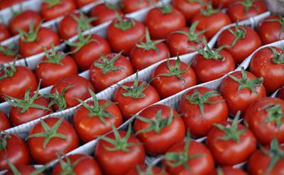 Еще 18 компаниям разрешено экспортировать помидоры в Россию - Агентство пищевой безопасности Азербайджана