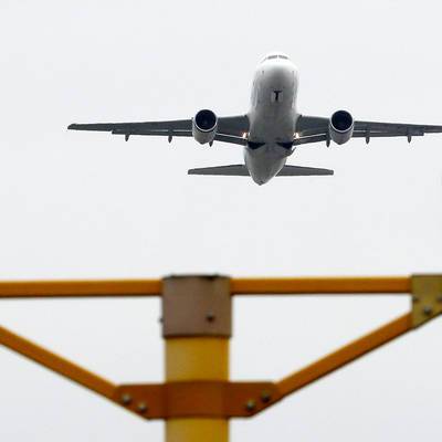 Рейс из Москвы столкнулся с косулей на посадочной полосе аэропорта во Пскове