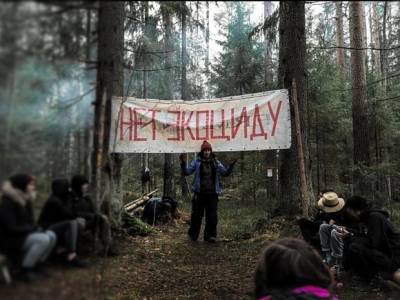 «Нет экоциду»: активисты организовали протестный лагерь ради спасения лесов и Финского залива (фото)