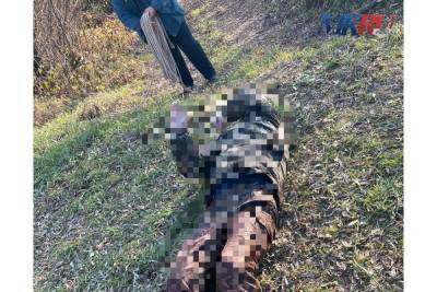СК начал проверку по факту гибели 64-летнего мужчины в Шиловском районе