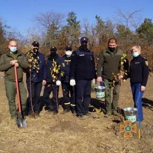 В Запорожской области высадили аллею в честь защитников и защитниц Украины. Фото