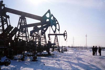 В ответ на слова Путина США задумали обрушить цены на нефть