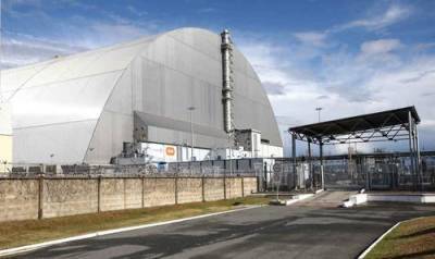 Зеленский заявил, что природа в зоне аварии на Чернобыльской АЭС восстанавливается быстрее, чем ожидалось