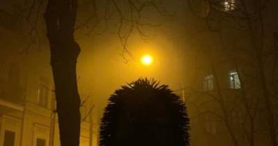 В Киеве вандалы разрушили скульптуру "Ежик в тумане" (фото)