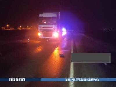 Два пешехода погибли под колесами автомобилей в Гомельской области