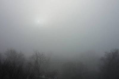 Сильный туман сохранится в Москве до утра 2 ноября