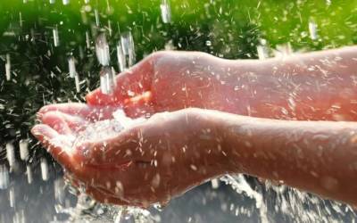 ​Лечебные свойства дождевой воды