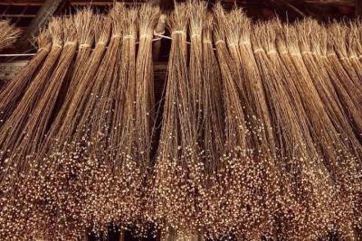 Компания «Мессиер» собирается заняться производством льна в Псковской области