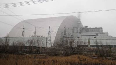 Зеленский заявил о высоких темпах восстановления природы в Чернобыле